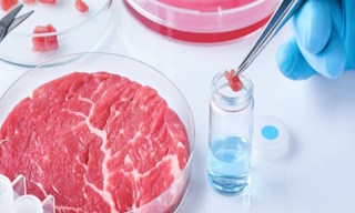 Лабораторный анализ пищевых продуктов по СанПиН в Черняховске в октябре