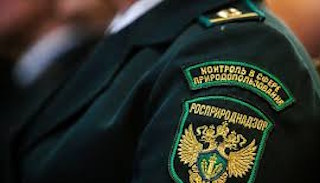 Подготовка к проверке Росприроднадзора в Черняховске от ПромМир-Чрх, стоимость услуги от 20960 руб.